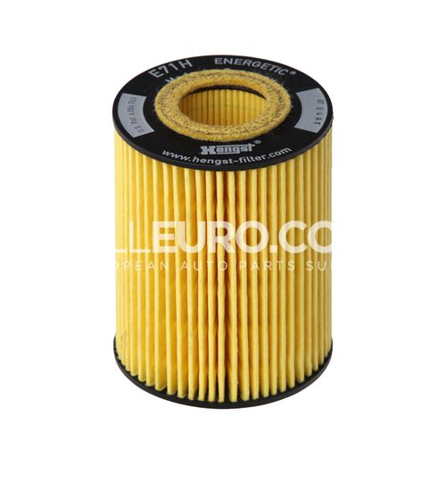 Hengst Engine Oil Filter 6421800009 E71H D141